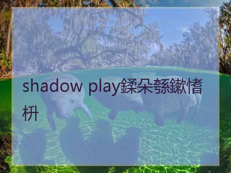 shadow play鍒朵綔鏉愭枡