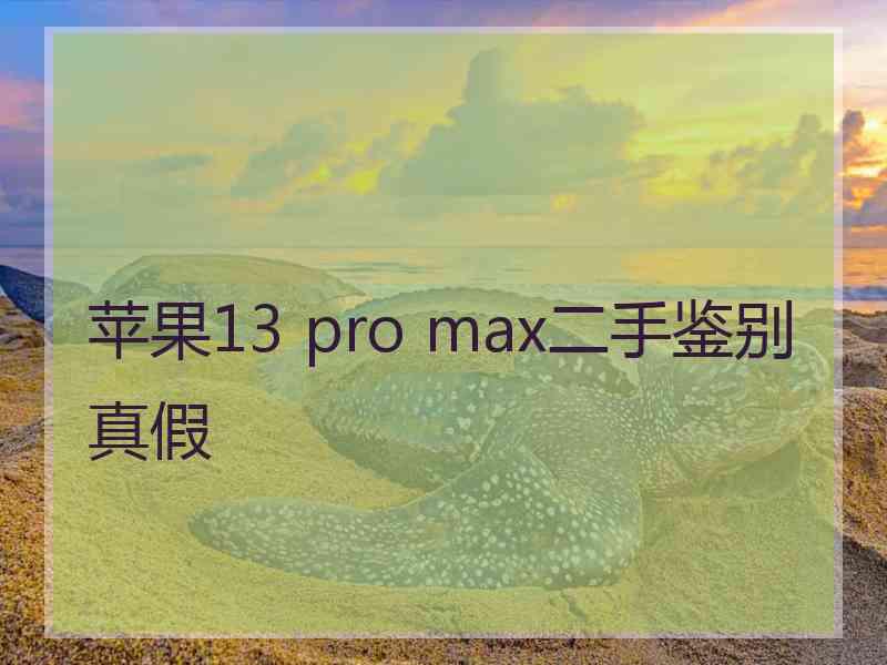 苹果13 pro max二手鉴别真假