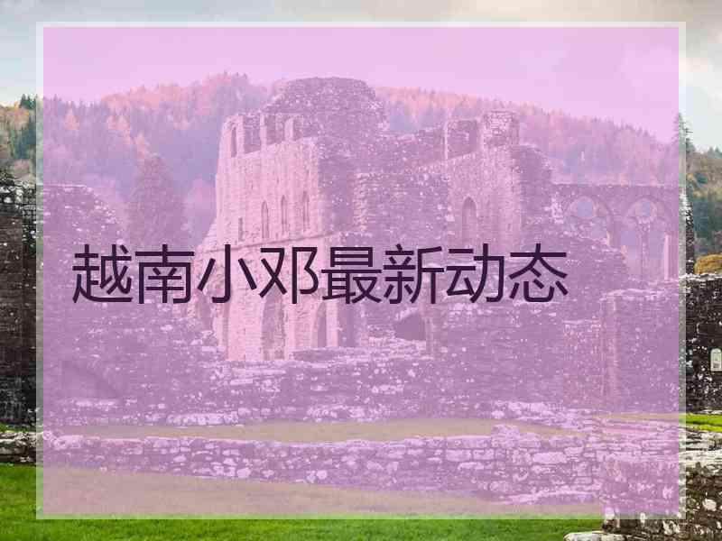 越南小邓最新动态