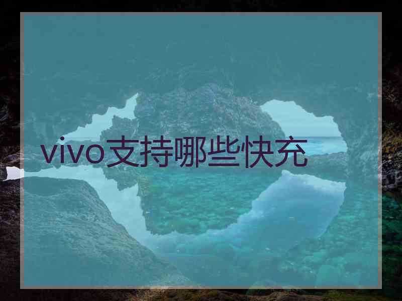 vivo支持哪些快充