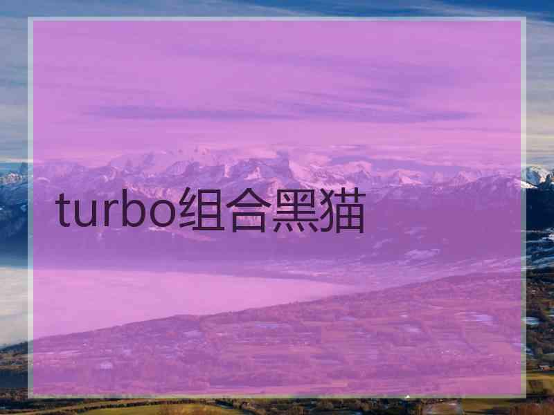 turbo组合黑猫