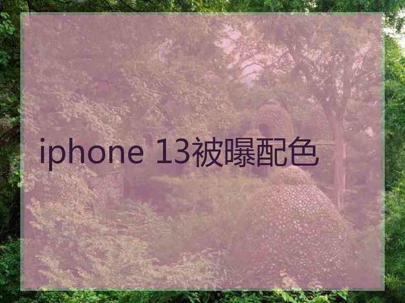 iphone 13被曝配色