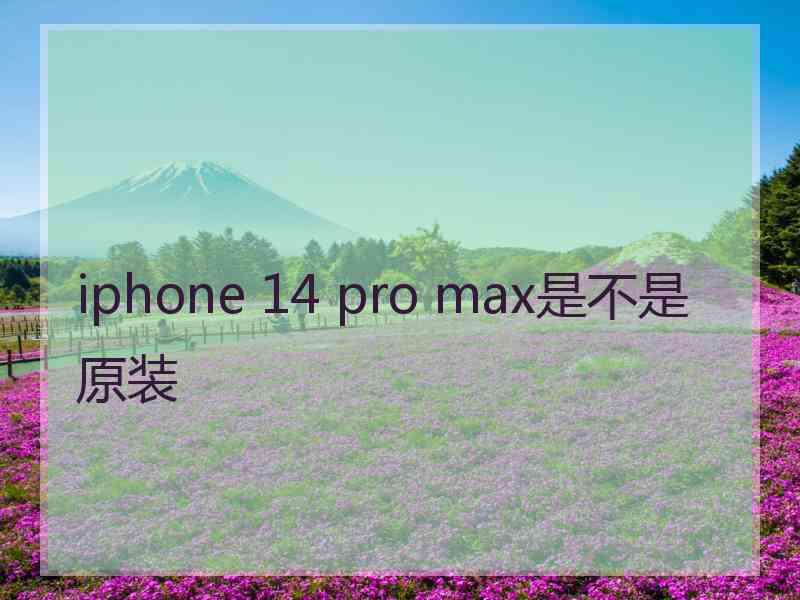 iphone 14 pro max是不是原装