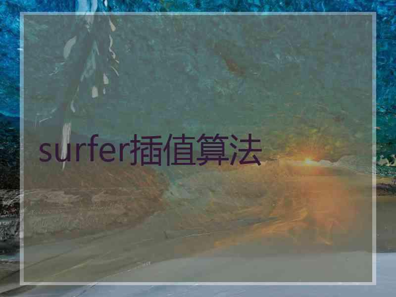 surfer插值算法