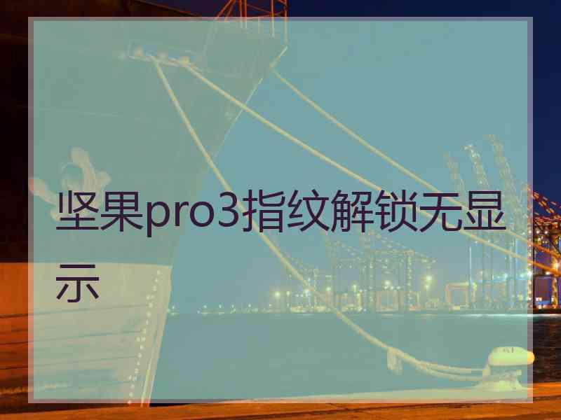 坚果pro3指纹解锁无显示