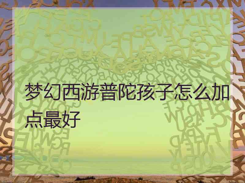 梦幻西游普陀孩子怎么加点最好