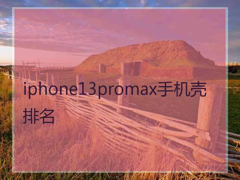 iphone13promax手机壳排名