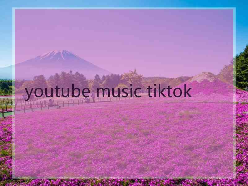 youtube music tiktok