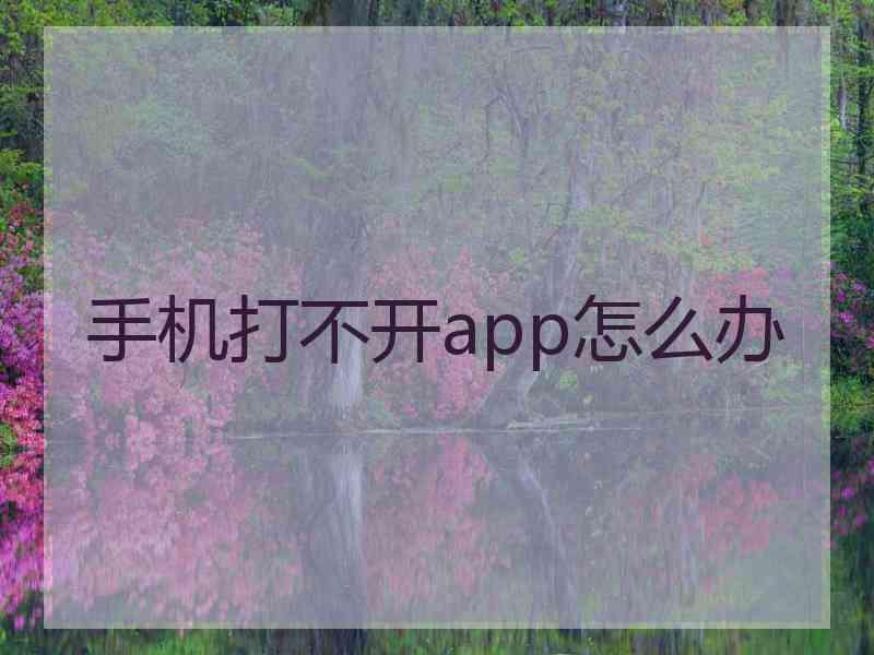 手机打不开app怎么办