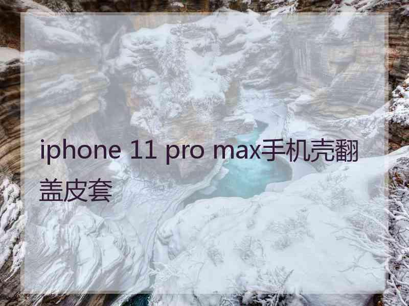 iphone 11 pro max手机壳翻盖皮套