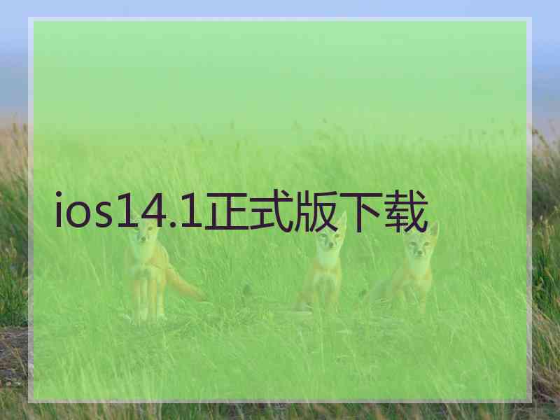 ios14.1正式版下载