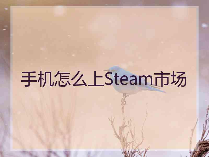 手机怎么上Steam市场