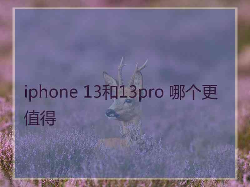 iphone 13和13pro 哪个更值得