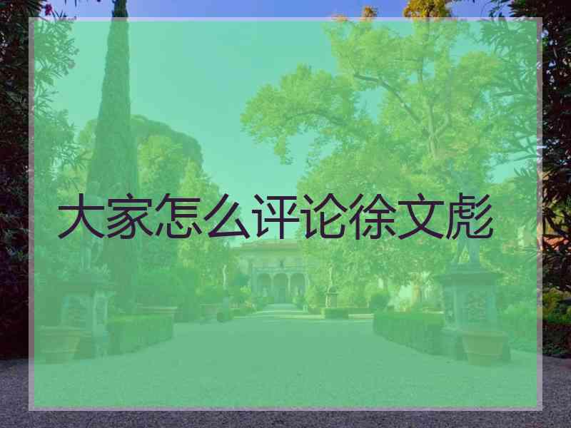 大家怎么评论徐文彪