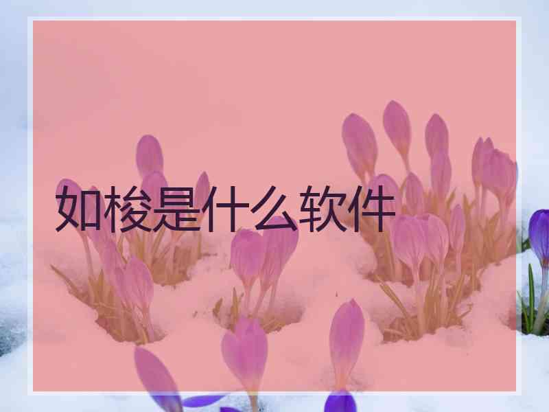 如梭是什么软件