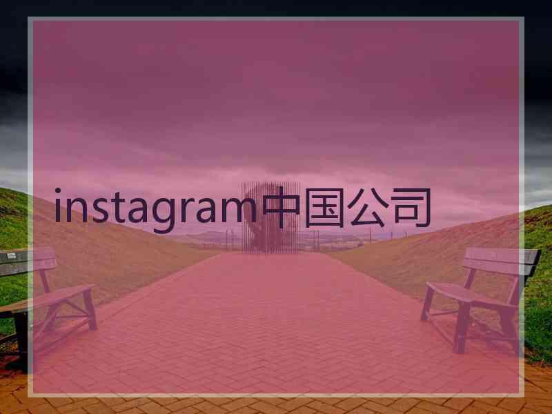 instagram中国公司