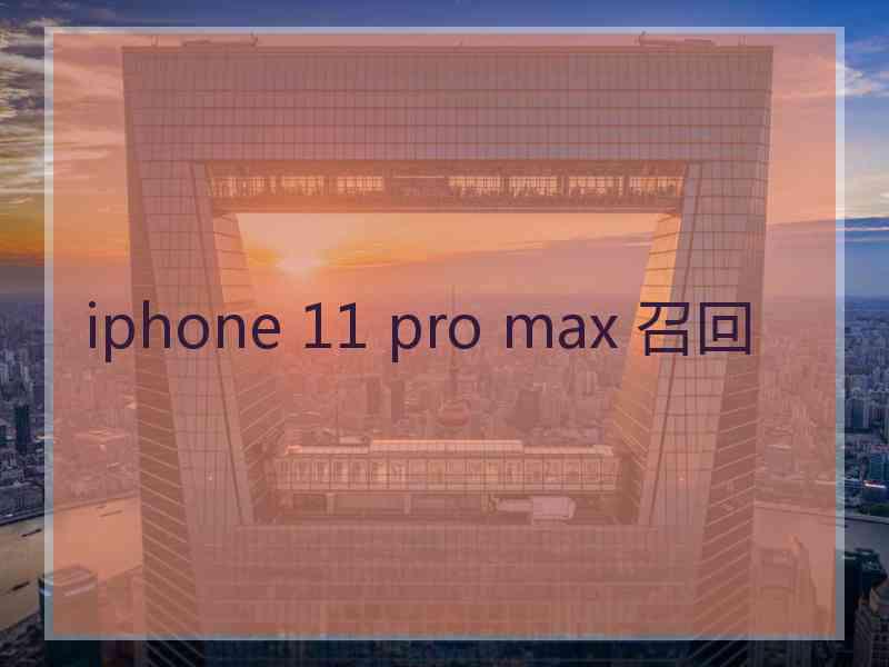 iphone 11 pro max 召回