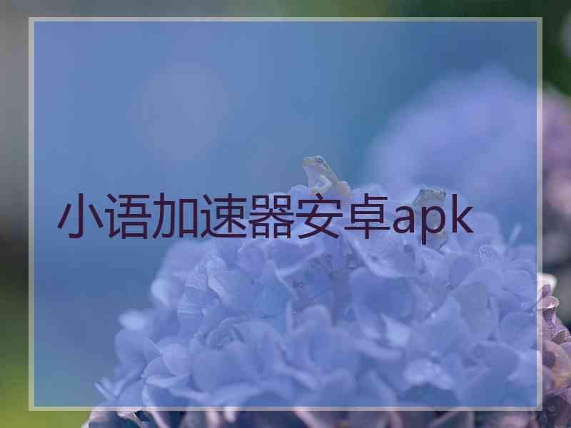 小语加速器安卓apk