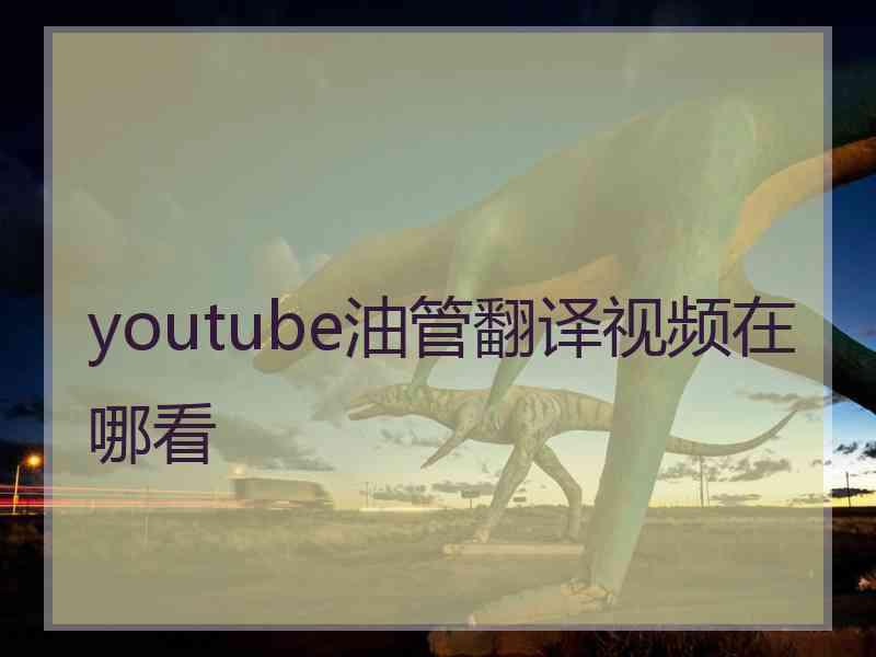 youtube油管翻译视频在哪看