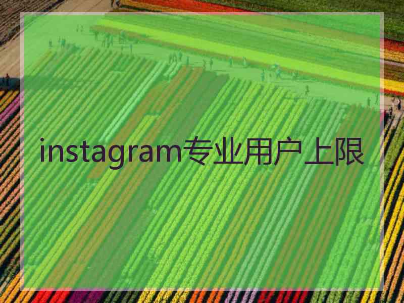 instagram专业用户上限