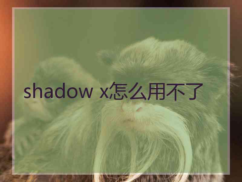 shadow x怎么用不了