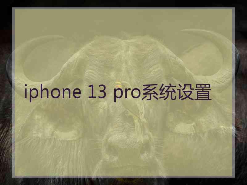 iphone 13 pro系统设置