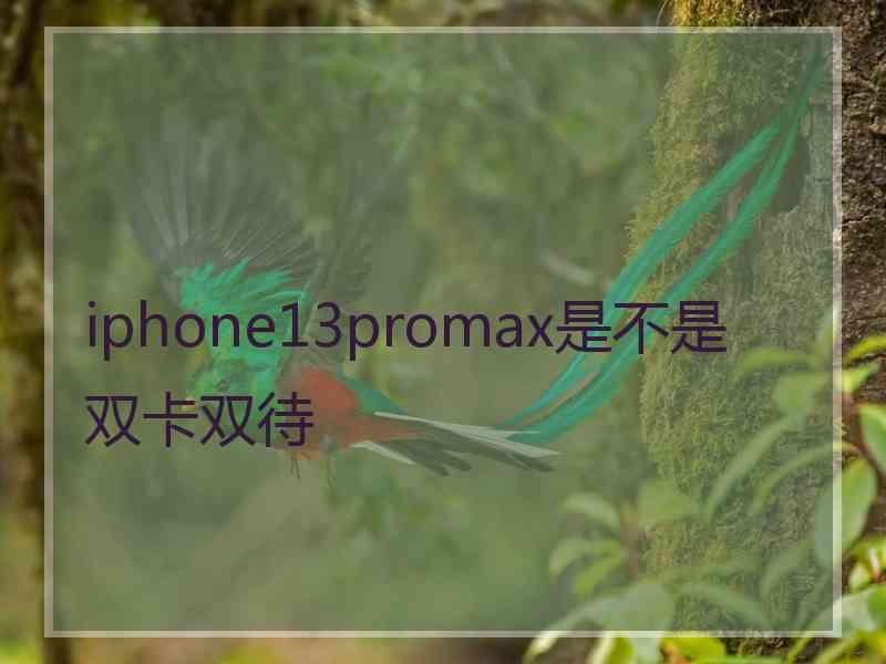 iphone13promax是不是双卡双待