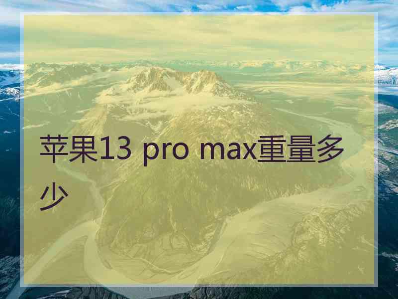 苹果13 pro max重量多少