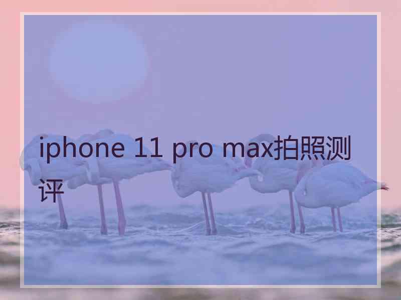 iphone 11 pro max拍照测评