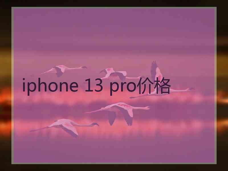 iphone 13 pro价格