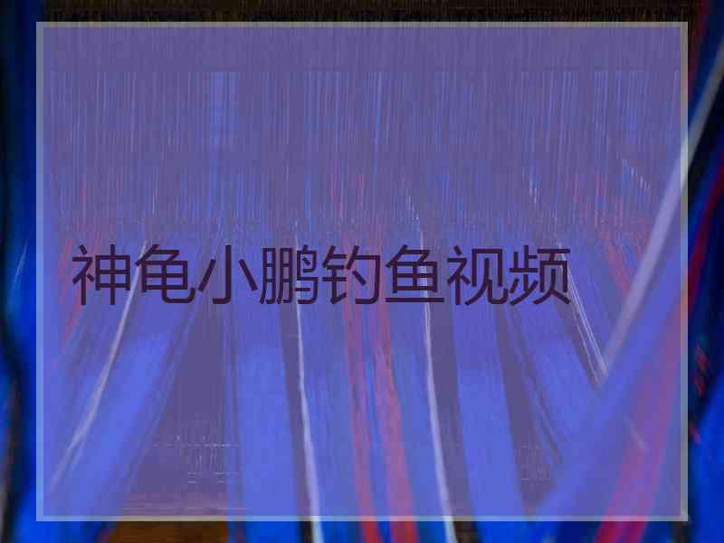 神龟小鹏钓鱼视频