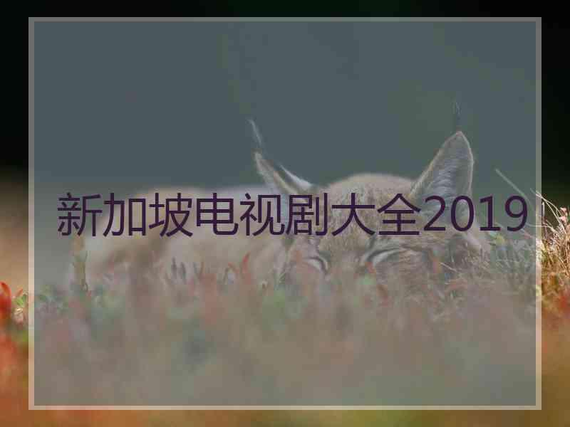 新加坡电视剧大全2019