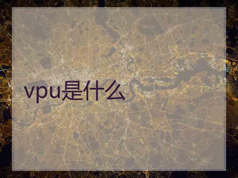 vpu是什么