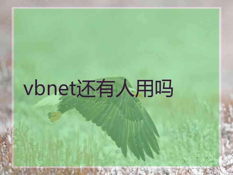 vbnet还有人用吗