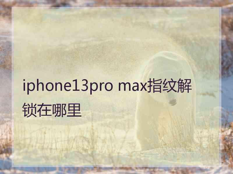 iphone13pro max指纹解锁在哪里