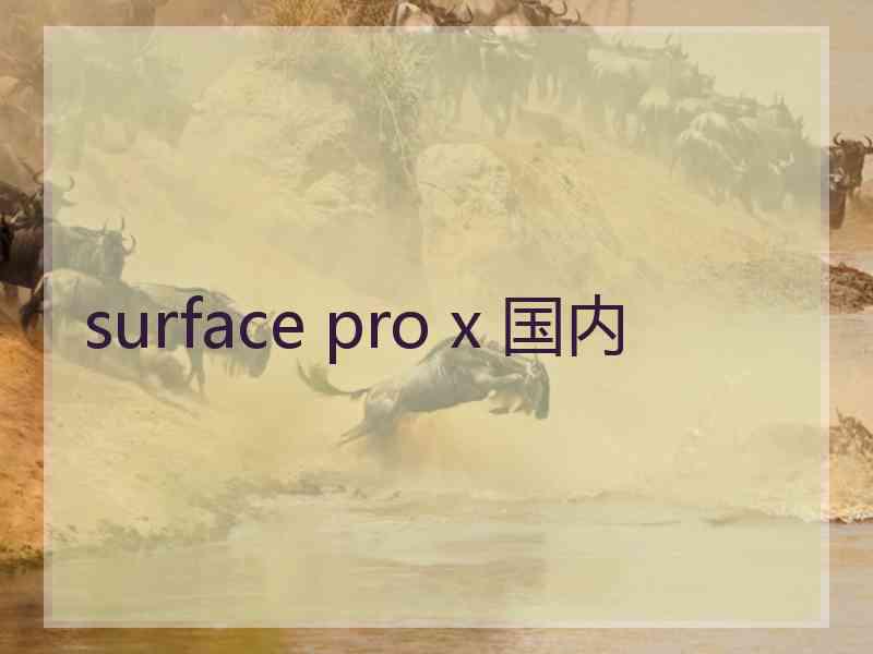 surface pro x 国内