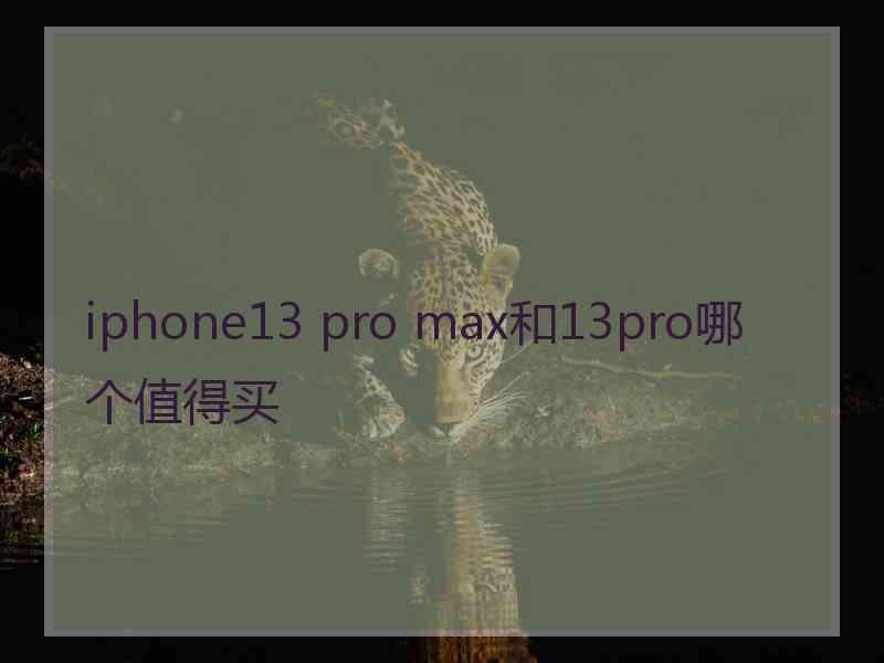 iphone13 pro max和13pro哪个值得买