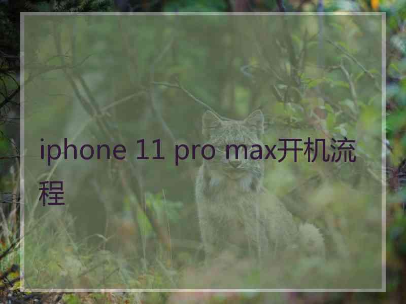 iphone 11 pro max开机流程