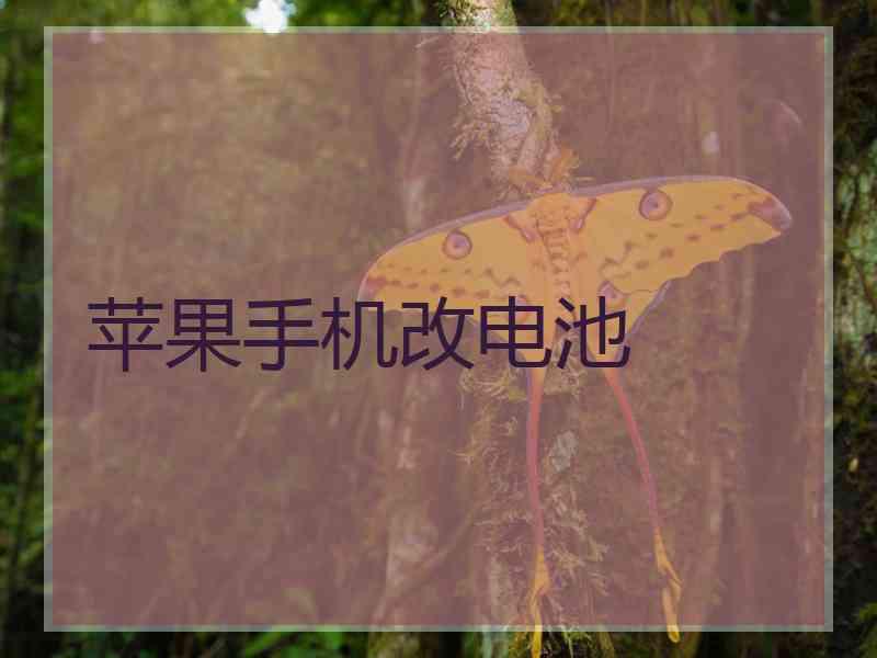 苹果手机改电池