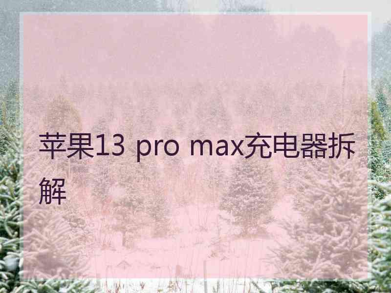 苹果13 pro max充电器拆解