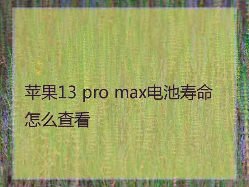 苹果13 pro max电池寿命怎么查看