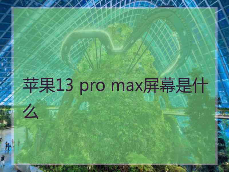 苹果13 pro max屏幕是什么