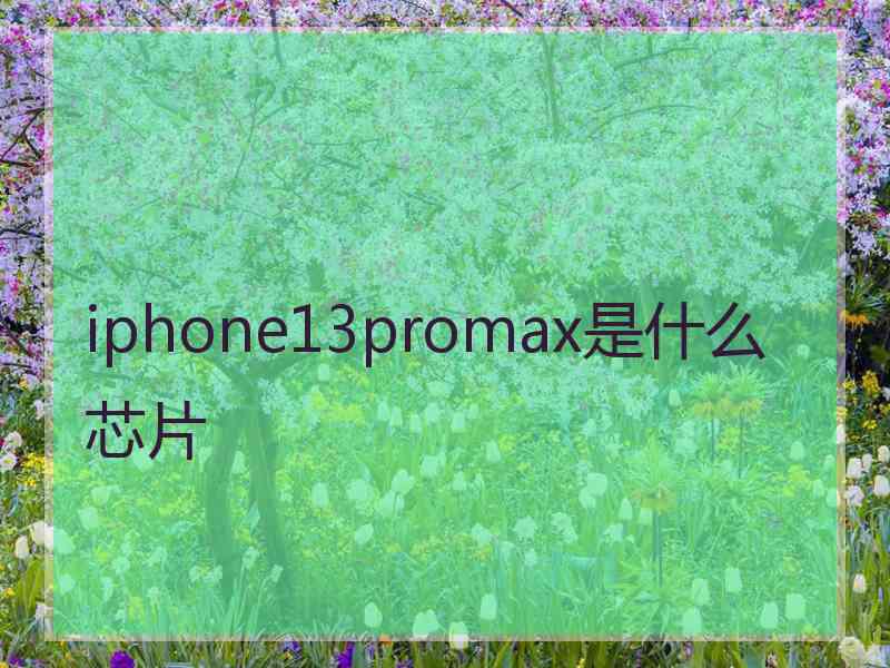 iphone13promax是什么芯片