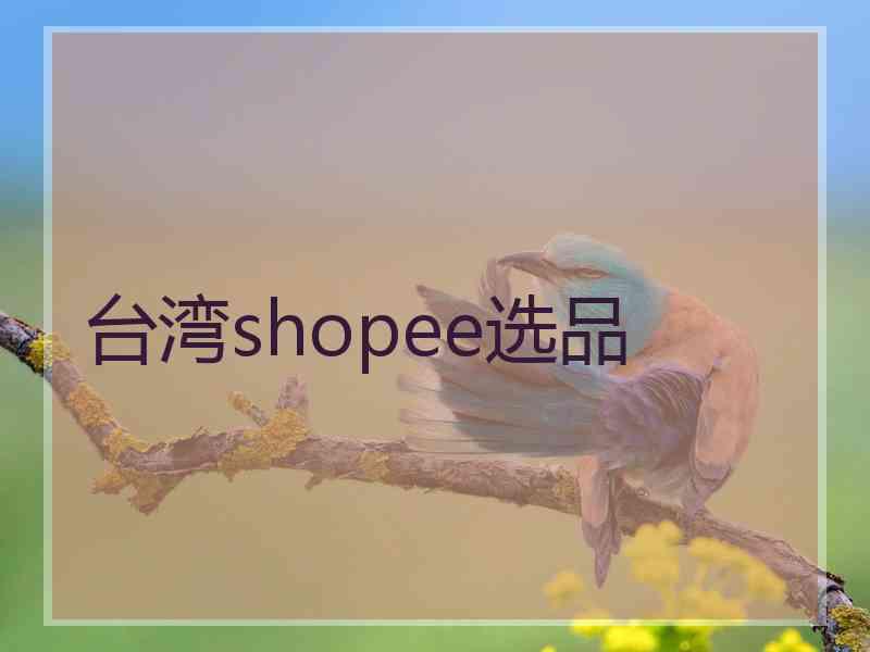 台湾shopee选品