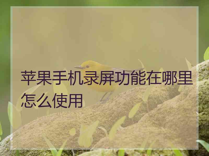 苹果手机录屏功能在哪里怎么使用