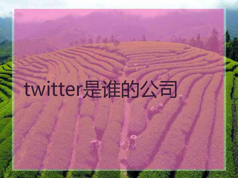 twitter是谁的公司