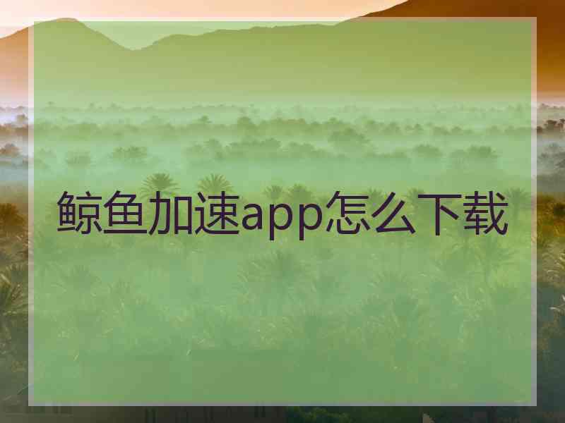 鲸鱼加速app怎么下载