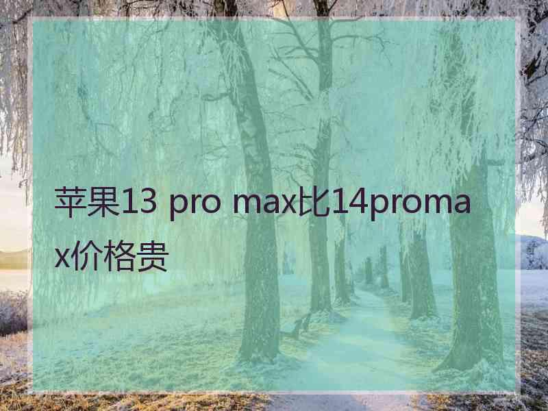 苹果13 pro max比14promax价格贵