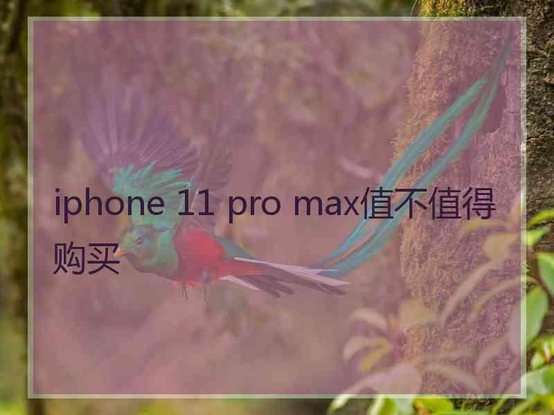 iphone 11 pro max值不值得购买