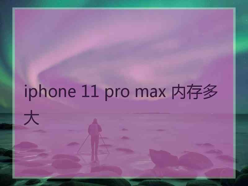 iphone 11 pro max 内存多大